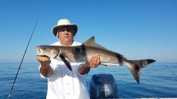Crystal River Fishing Adventure