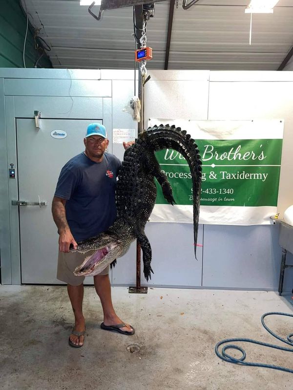 Inshore Addictz Charters  