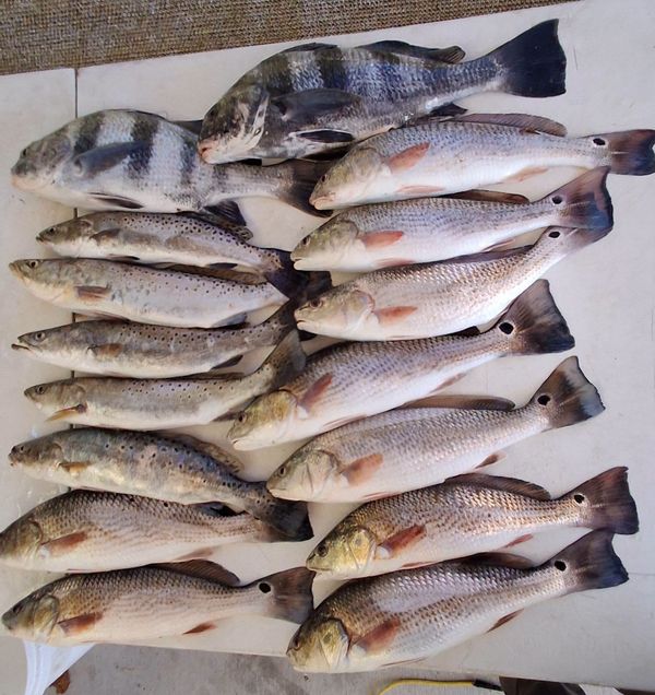 Inshore Addictz Charters  