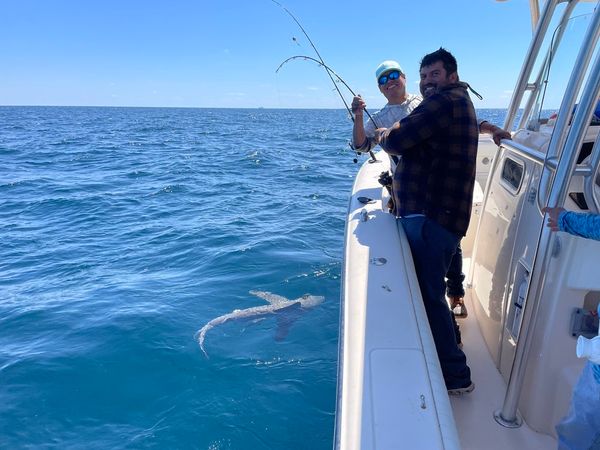 Ceviche Charters