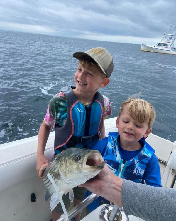 Sea Dog Fishing Team and Charters