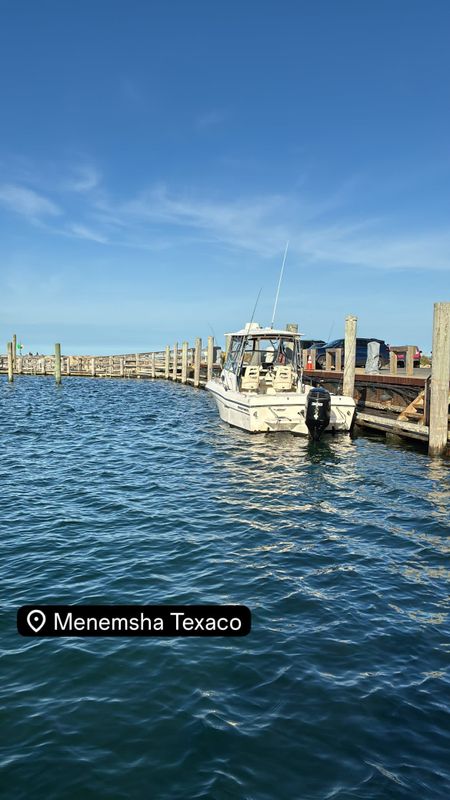 Waverly Grace Charters