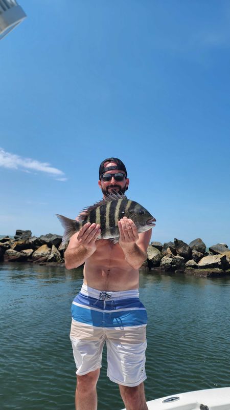 Silver Beard Charters