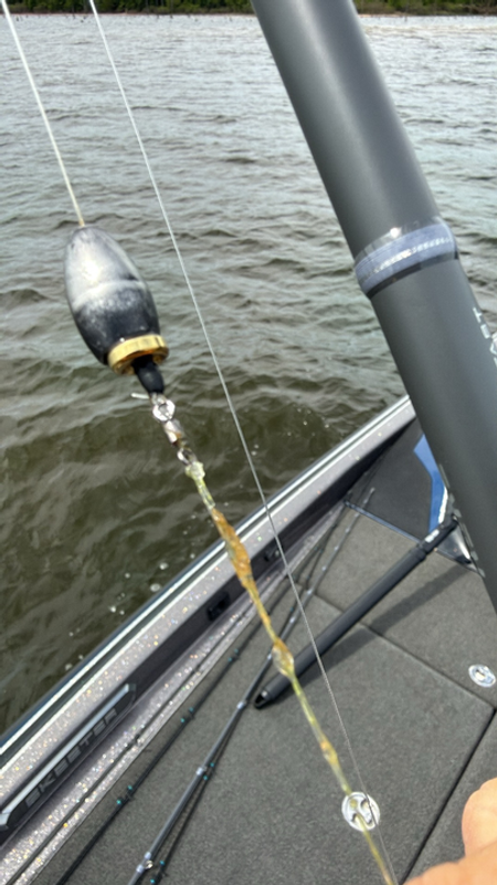 Jay Bonner Lake Fork Guide Service