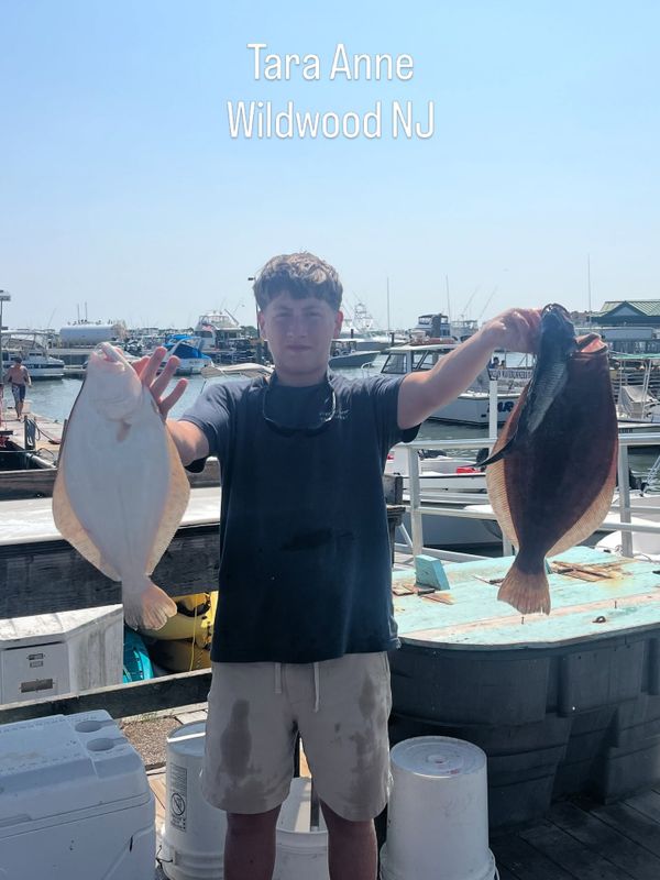 Tara Anne Sport Fishing