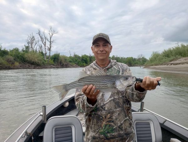 Nor Cal Fish Hounds Guide Service