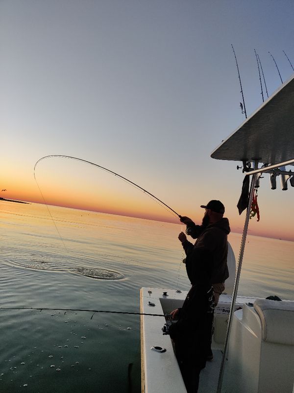 Desperate Measures Guide Service