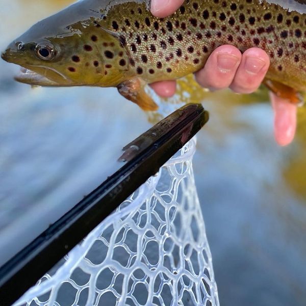 Reff Water Fly Fishing LLC