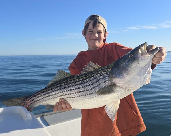 Spear-it Charters