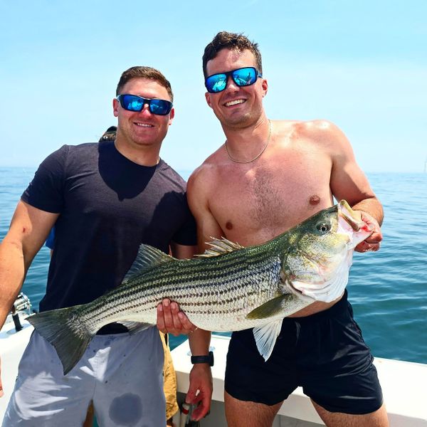Spear-it Charters