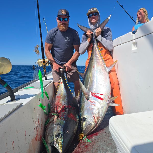 Spear-it Charters
