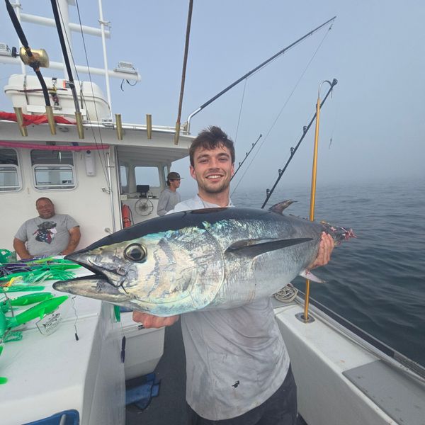 Spear-it Charters