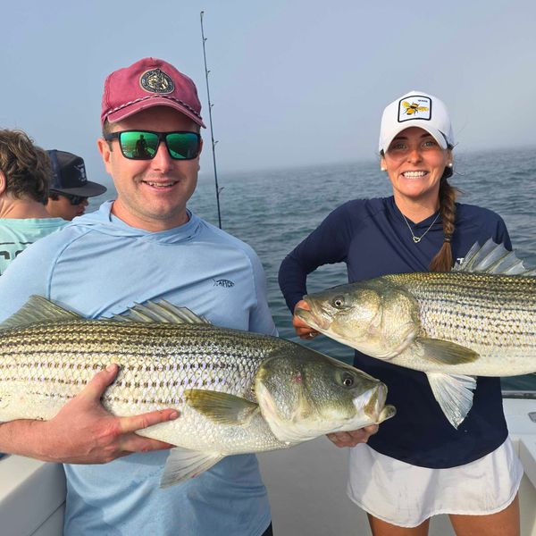 Spear-it Charters