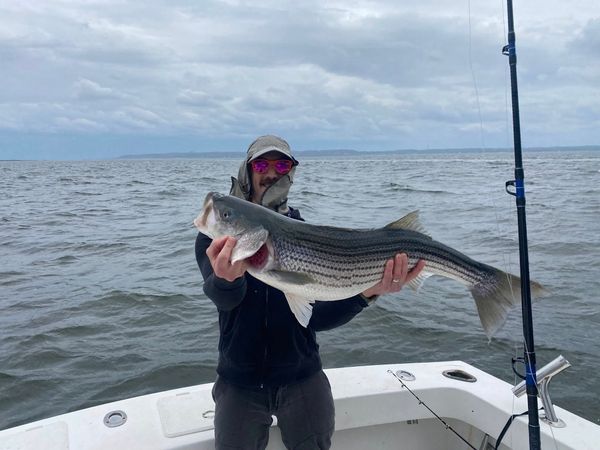 Teacher's Pet Sport Fishing