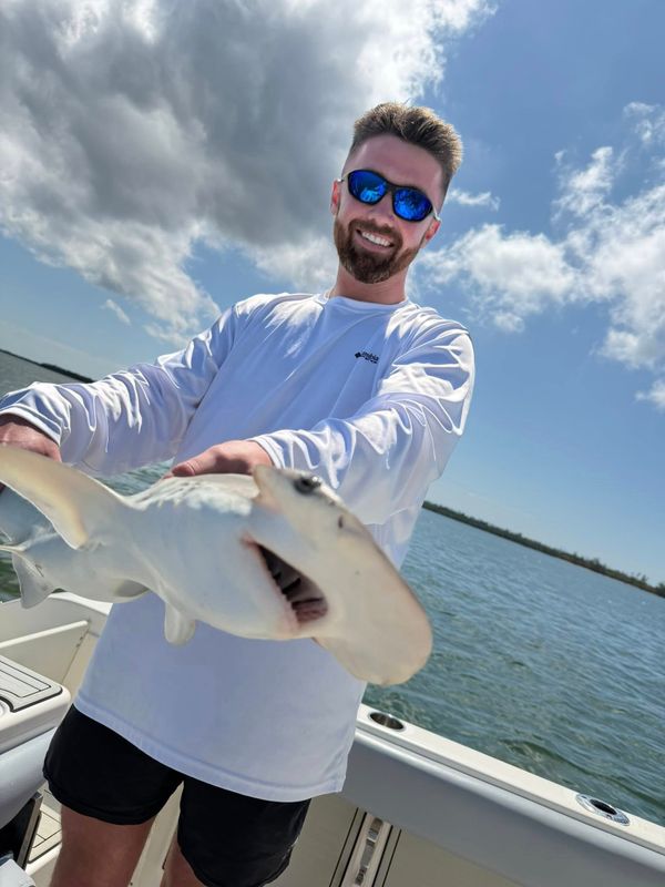 Matlacha Saltwater Outfitters