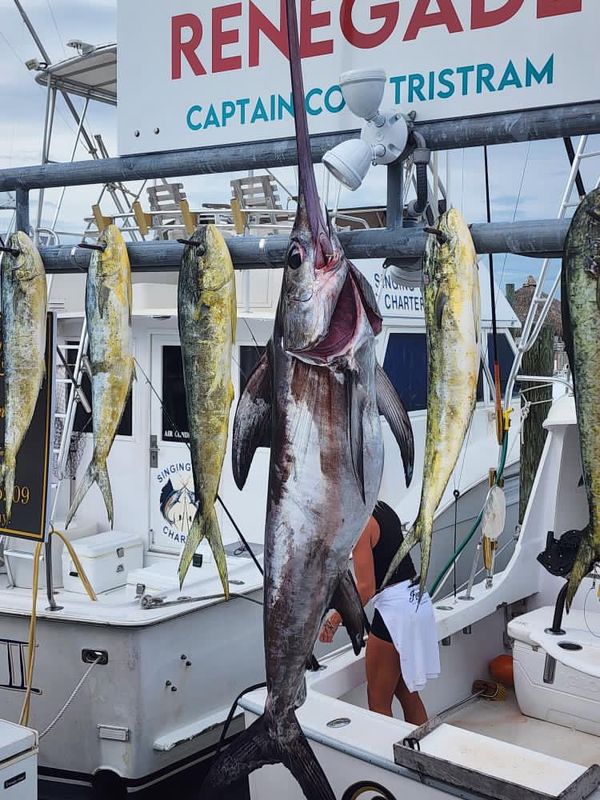 Renegade Fishing Charters