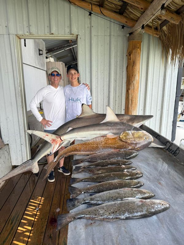 Island Adventure Charters