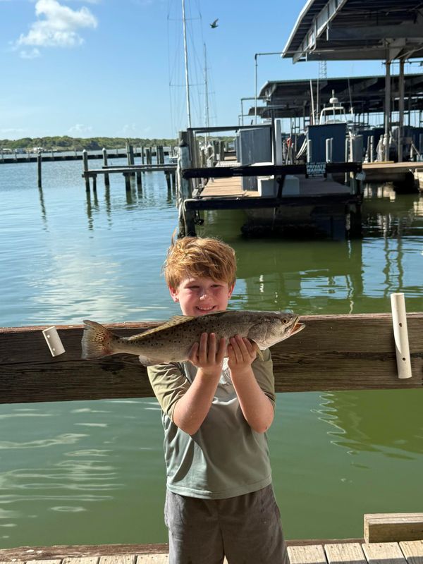 Island Adventure Charters