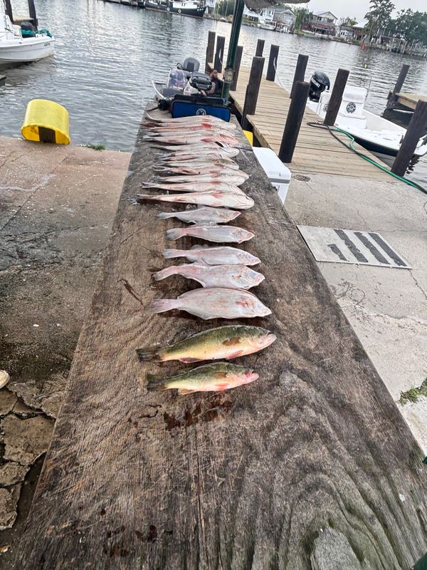 Marsh Point Fishing Charters 