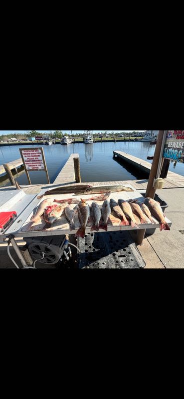 Marsh Point Fishing Charters 