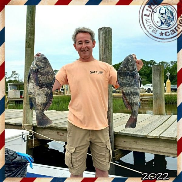 Captain Shad's Coastal Charters