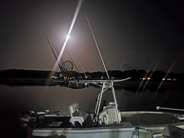 Captain Shad's Coastal Charters