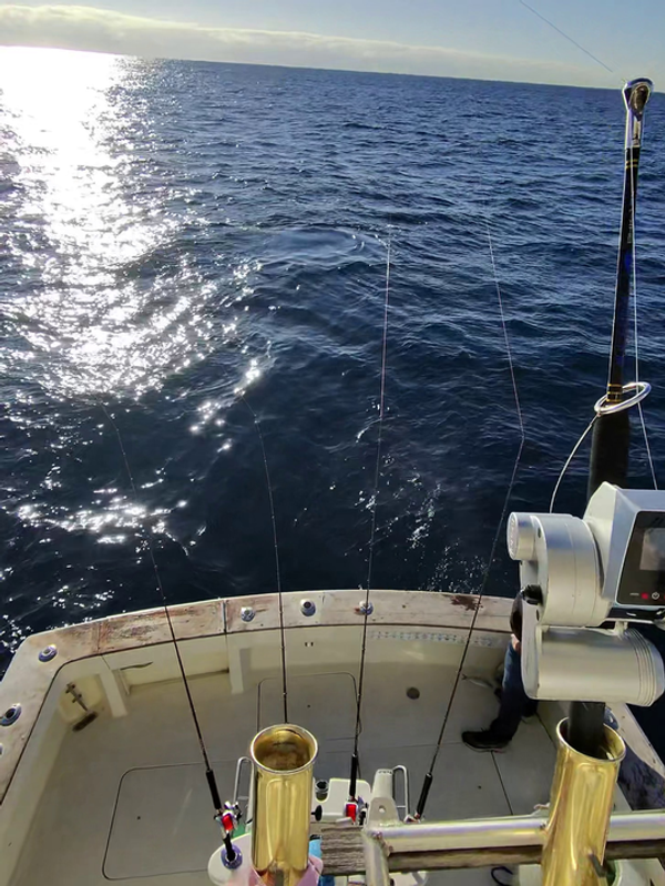 Bay Breeze Sport Fishing