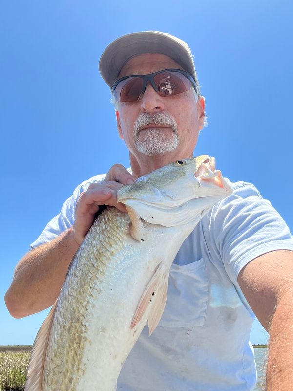 Texas Redfish Company