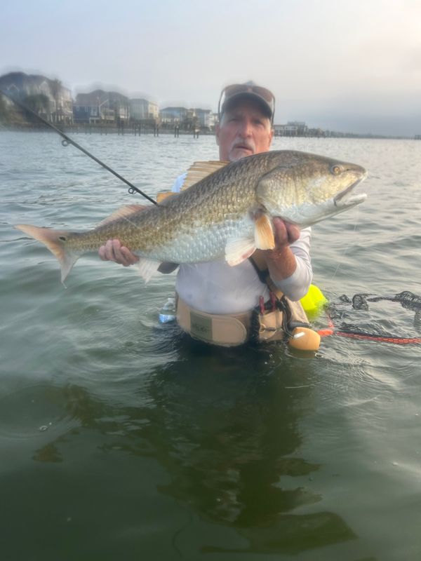 Texas Redfish Company
