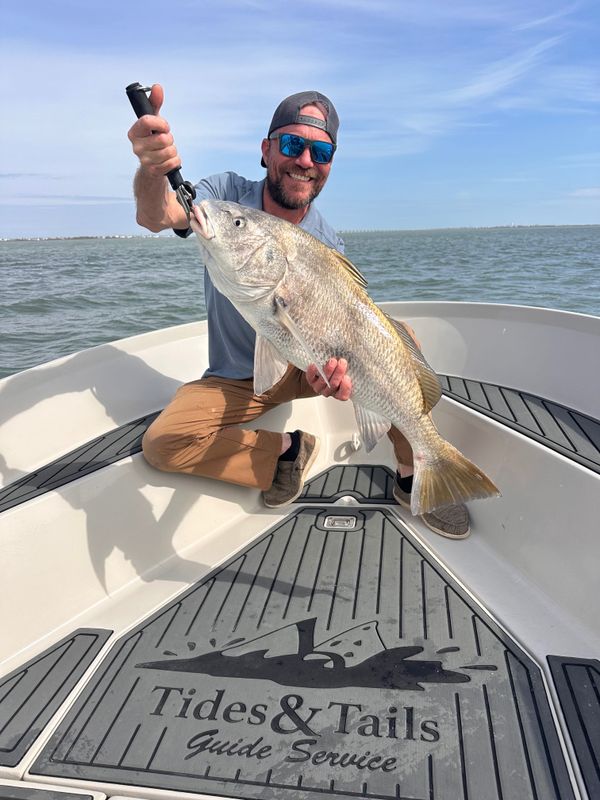 Tides and Tails Guide Service