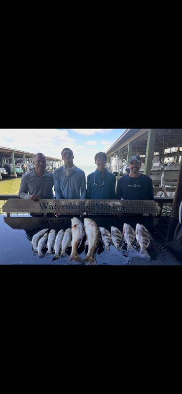 Tides and Tails Guide Service