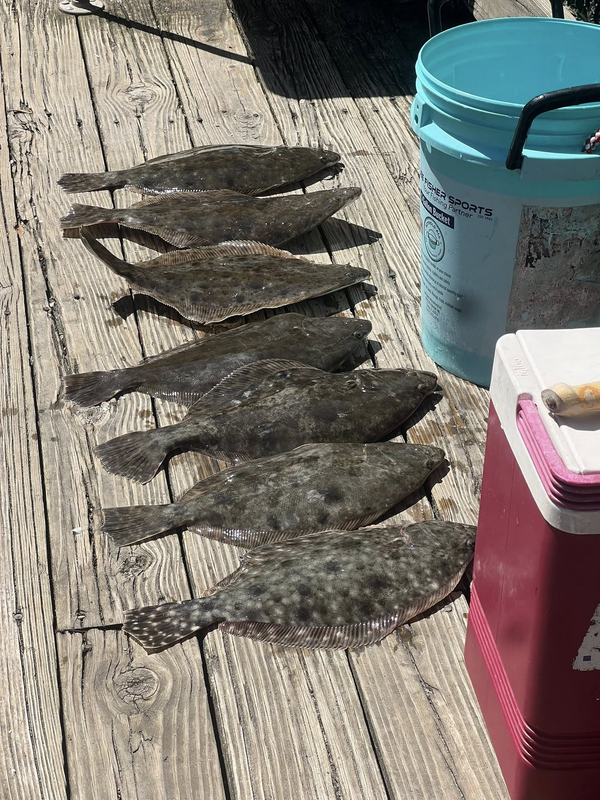 NMB Charters