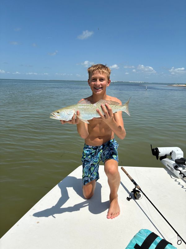 Fish Tank Charters
