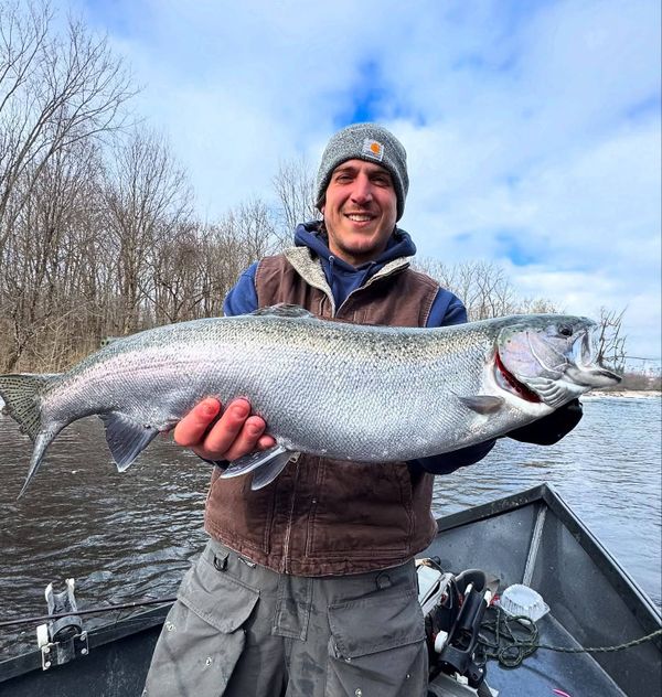 Kings Ransom Sportfishing