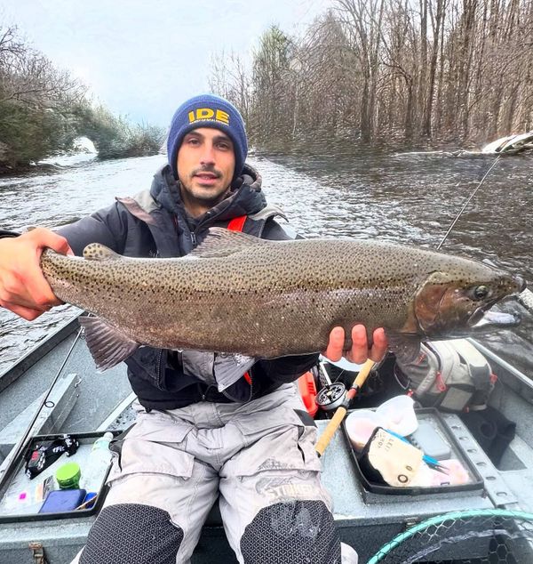 Kings Ransom Sportfishing