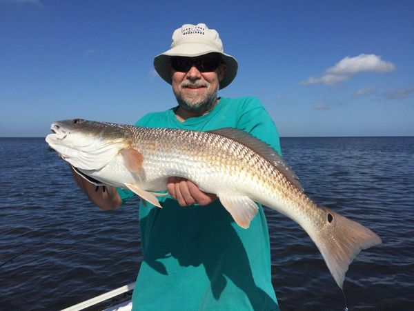 Florida Snook Charters