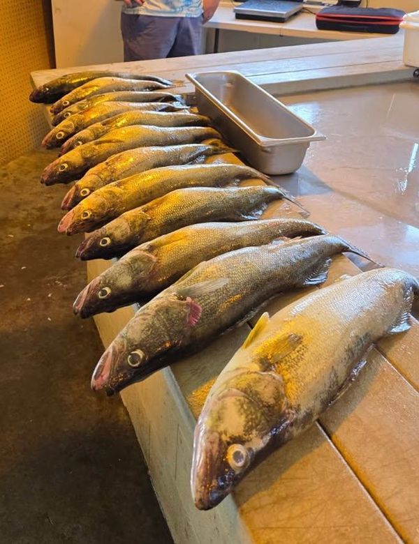 No Regrets Sport Fishing LLC