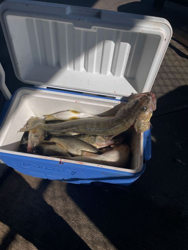 No Regrets Sport Fishing LLC