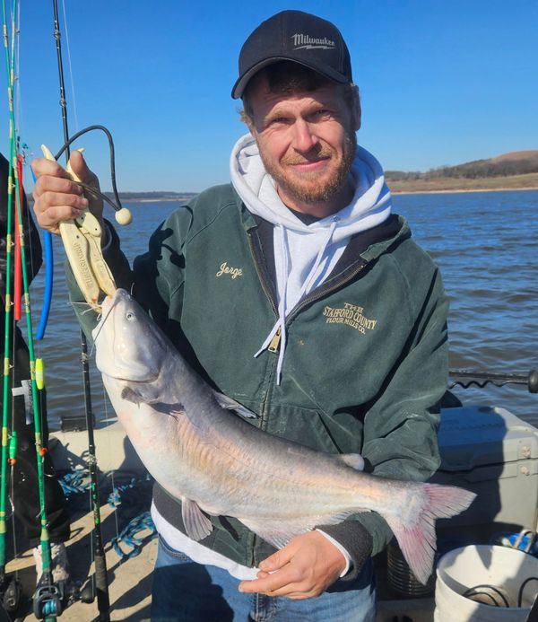 Blue Catter's Guide Service