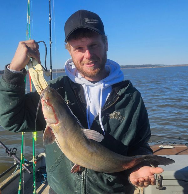 Blue Catter's Guide Service