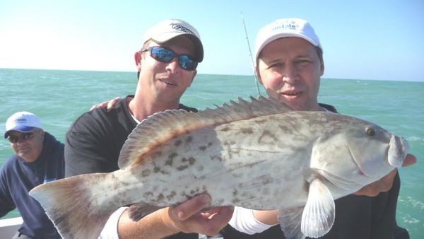 Reel1Up Fish & Dive Charters