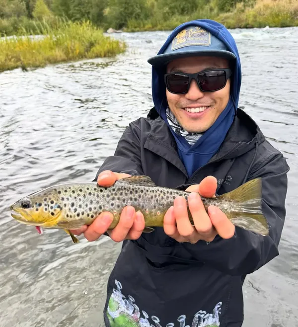 Provo River Fly Fishing Guides