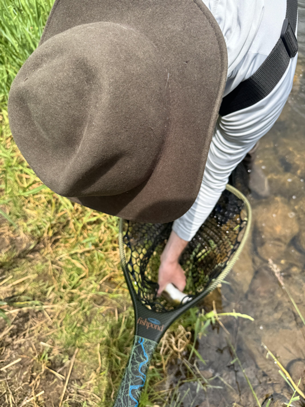 Provo River Fly Fishing Guides