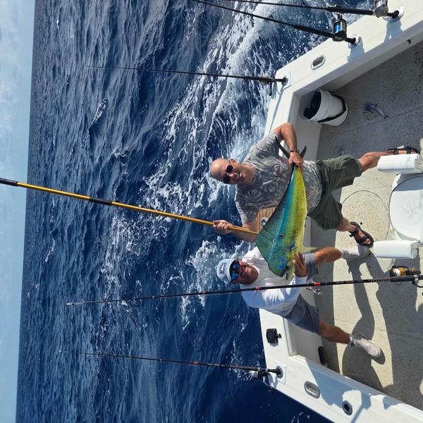 Coral Sea Charters