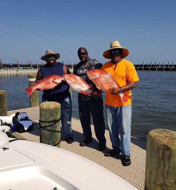 Sunrise Charters
