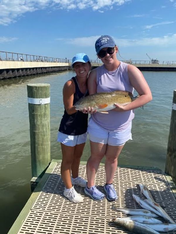 Sunrise Charters