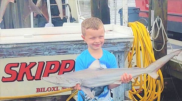Skipper Charters
