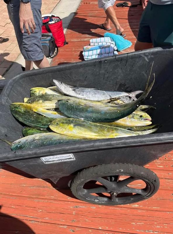 Weekley Rehab Fishing Charters