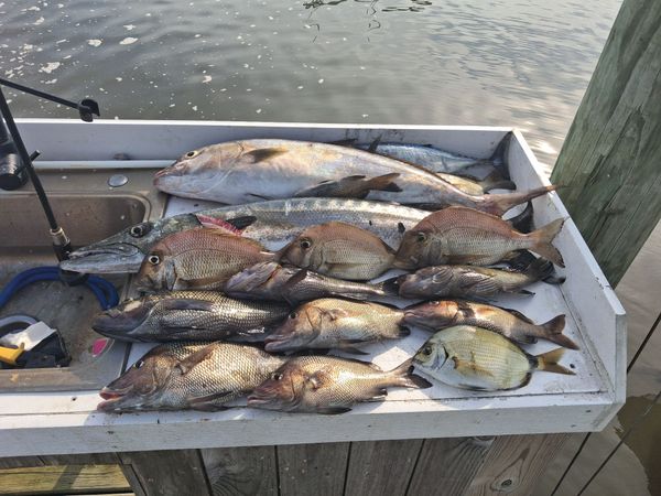 Atlantic Blue Charters