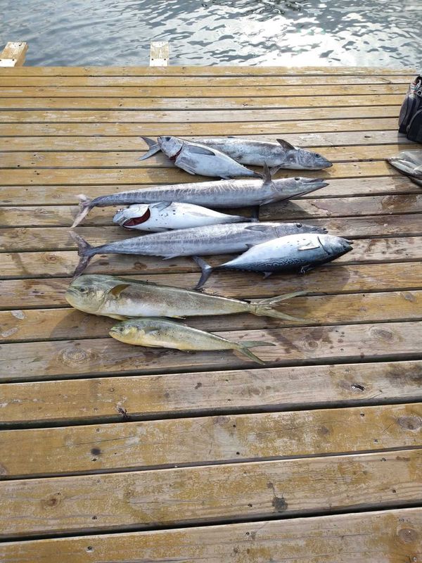 Atlantic Blue Charters